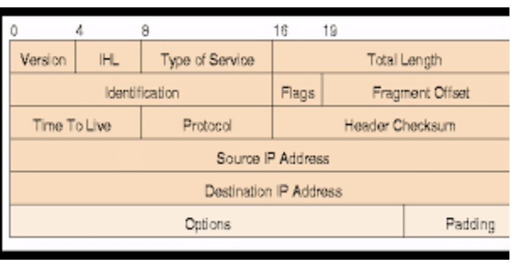 IP Header