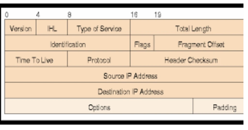 IP Header