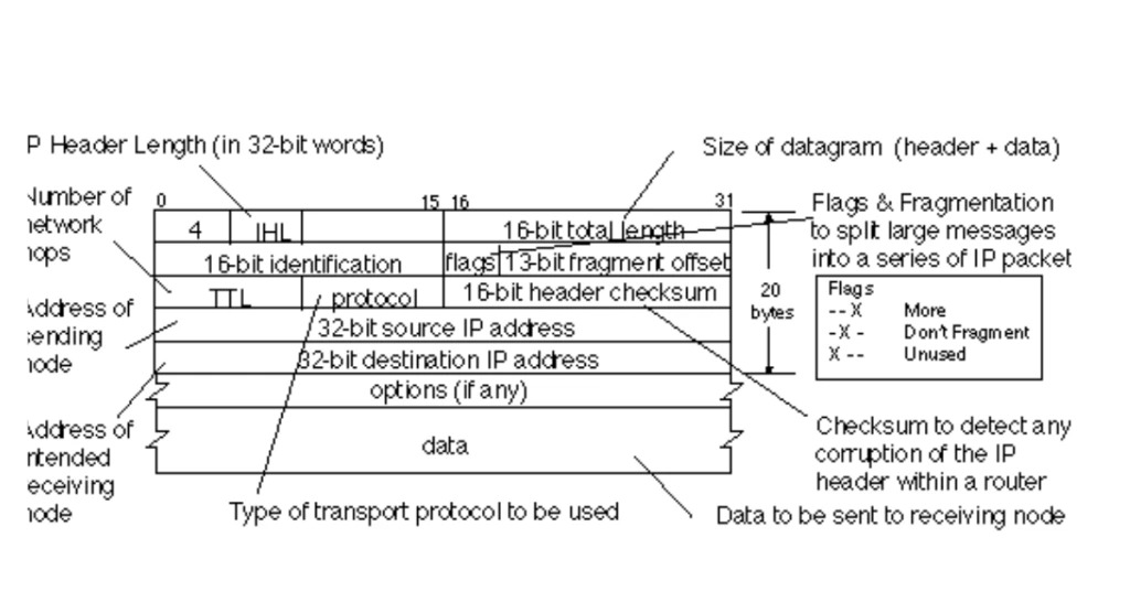 IP Header