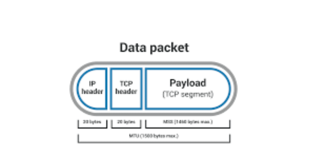 IP Header