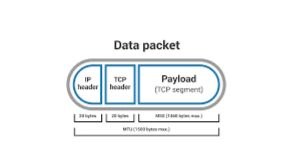 IP Header