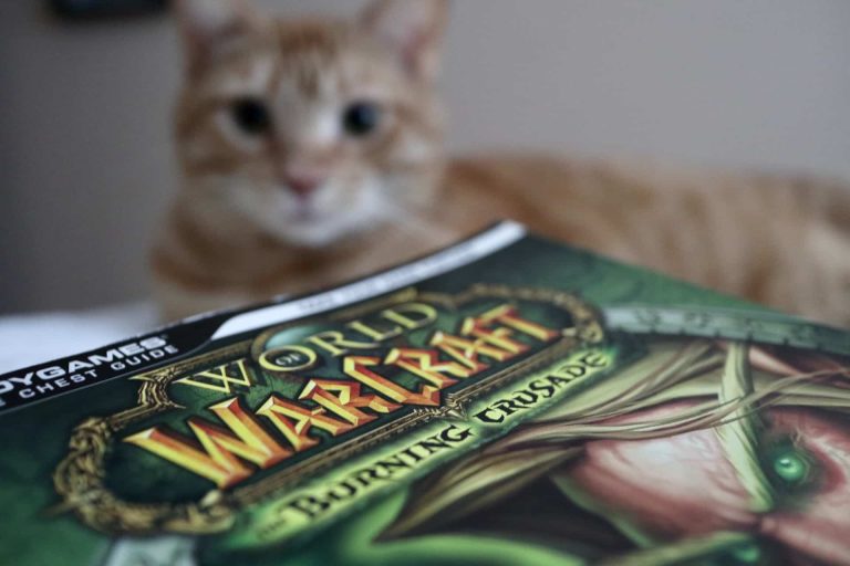 Boosting in World of Warcraft Maximizing Your Gaming Experience