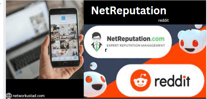 The Power of Reddit: NetReputation In Online Business