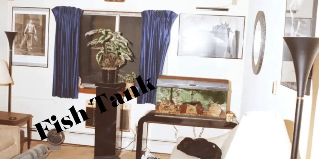 A photo of Jeffrey Dahmer fish tank, murky water, and eerie ambiance, offering insight into the notorious serial killer's environment.