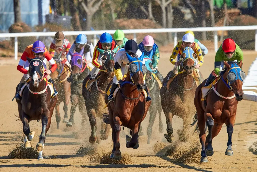 5 Horse Racing Blogs You Should Read In 2024
