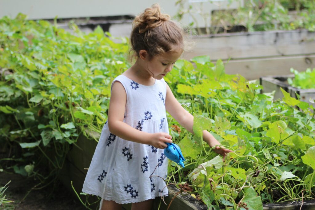 Community Gardening