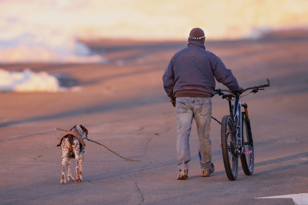 A person standing with a bicycle on the side of a road at sunset, holding a leash with a dog beside them. #Bicycle Accident Lawsuit