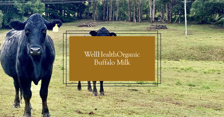 Discover the Wholesome Power of WellHealthOrganic Buffalo Milk
