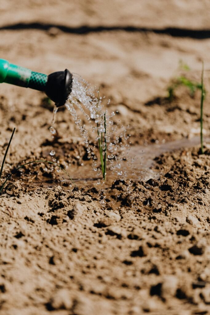 Mulching Techniques for Water Conservation and Soil Health: A Gardener’s Guide