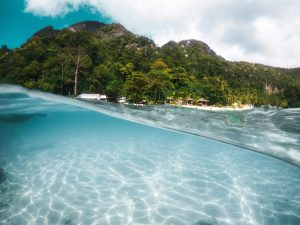 Split-view image showing clear underwater scenery and a picturesque tropical island landscape at Gili Islands.