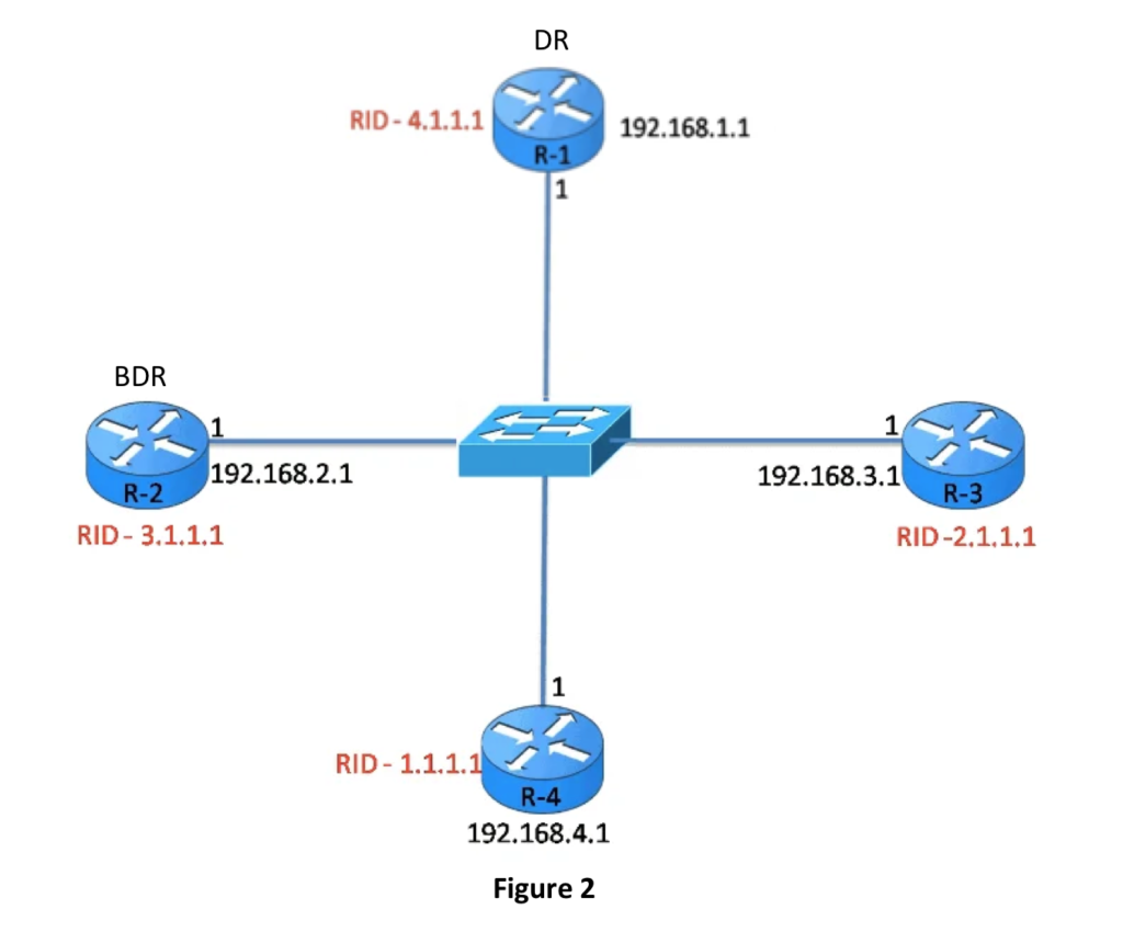 What is OSPF Designated Router