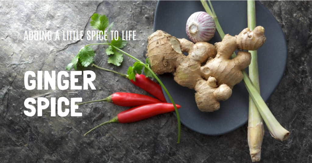 A vibrant image featuring fresh ginger root bright red chili peppers lemongrass and garlic on a dark plate Sprigs of green cilantro add color The overlaid text reads ADDING A LITTLE SPICE TO LIFE and GINGER SPICE