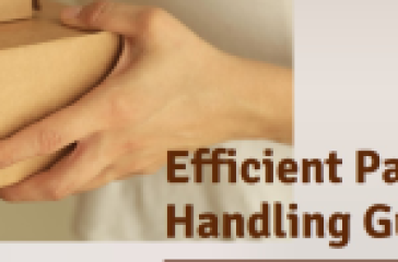 A person’s hands holding a cardboard box with the text “Efficient Parcel Handling Guide” alongside “Your Ultimate Princess Royal Parcel Hub.