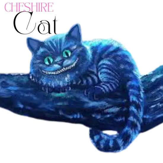 Cheshire Cat