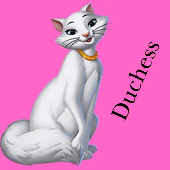 duchess