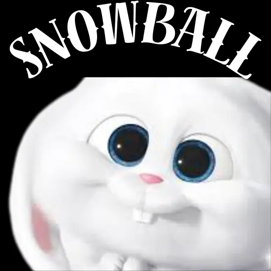  Snowball