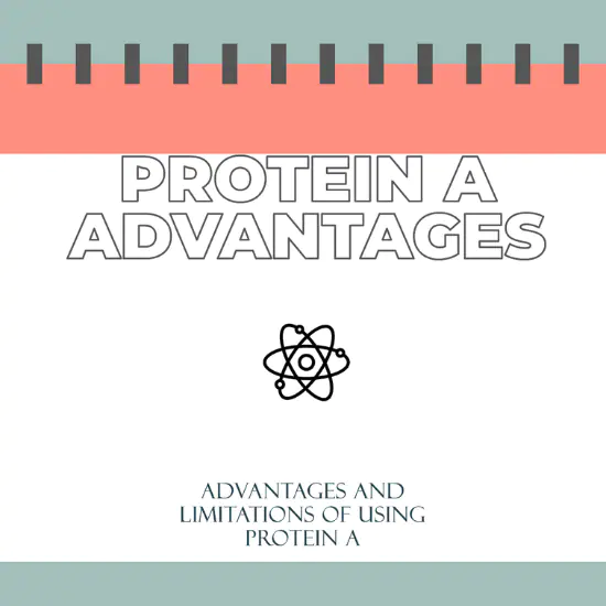 An image with a design featuring the title "PROTEIN A ADVANTAGES" in large, bold letters. Below the title is an icon of an atom. At the bottom, there is smaller text that reads "ADVANTAGES AND LIMITATIONS OF USING PROTEIN A."