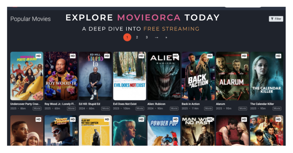 MovieOrca: A Thorough Analysis of the Free Streaming Service