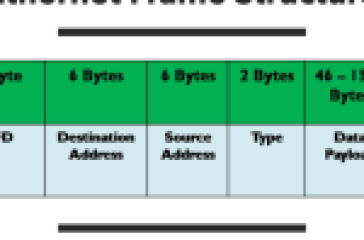 Diagram illustrating the Ethernet Frame Structure and fields for a quiz.