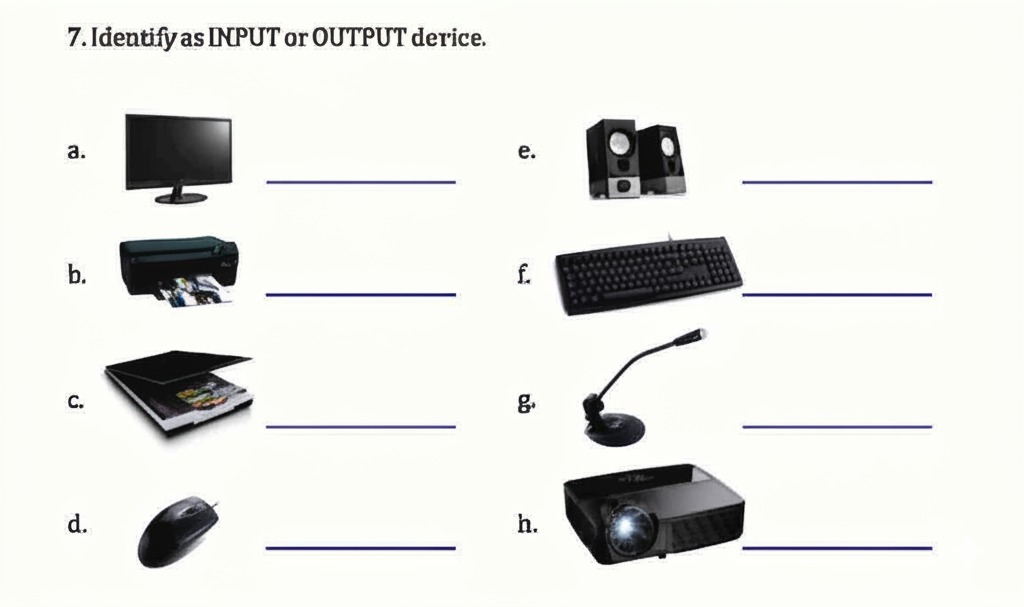 Computer Science Unit-1 Grade 6 Q-7: ICT Fundamentals Soloved
