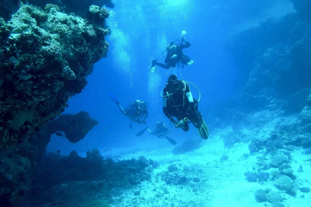Swimming with Manta Rays in the Maldives: Everything They Don’t Tell You