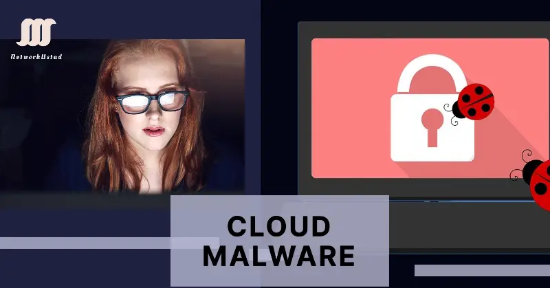 Exploring the Common Types of Cloud Malware