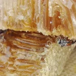 Design 757112204 2 1 The Remarkable Health Benefits Of Raw Honey: Why It’s More Than Just Sugar