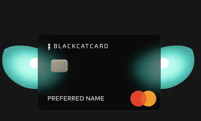 The Next Decade of Digital Money: How Platforms Like Blackcat Are Shaping Financial Futures The Next Decade of Digital Money: How Platforms Like Blackcat Are Shaping Financial Futures