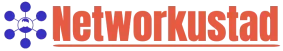 networkustad.com's logo