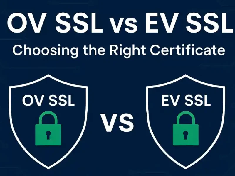 Extended Validation vs Organization Validation: Find the Right SSL for Your Security Strategy