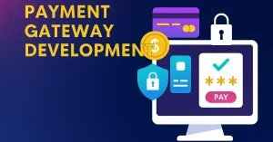 Payment Gateway Software Development: Key Challenges and Solutions