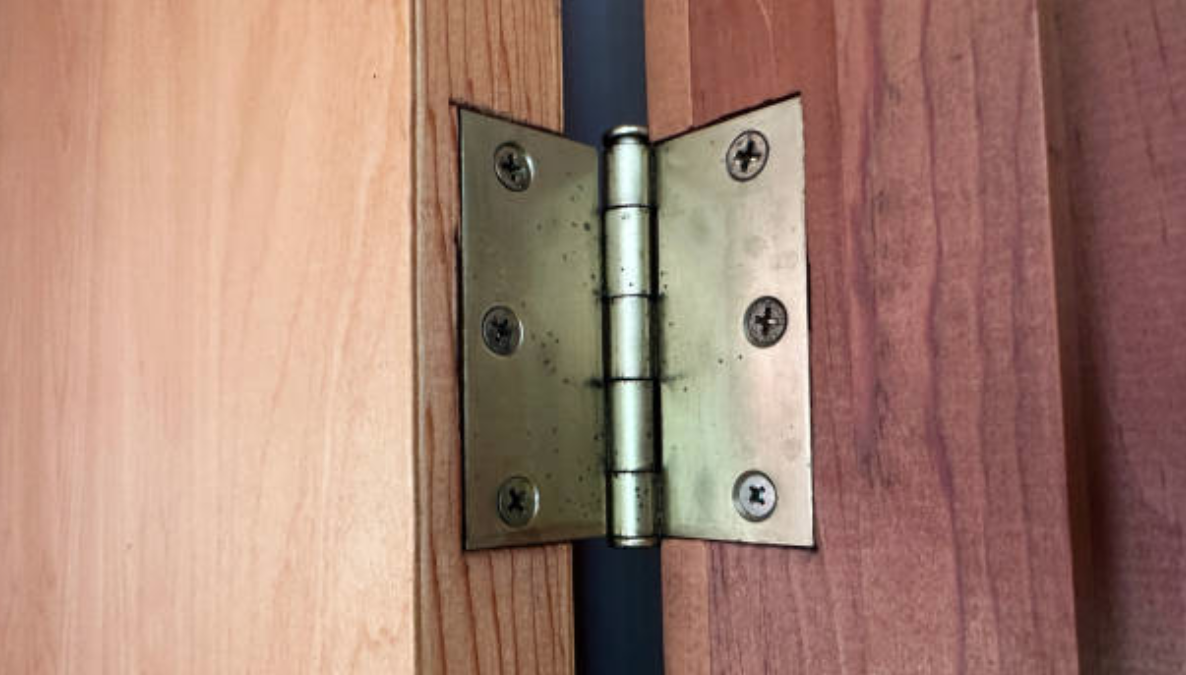 heavy duty door hinges