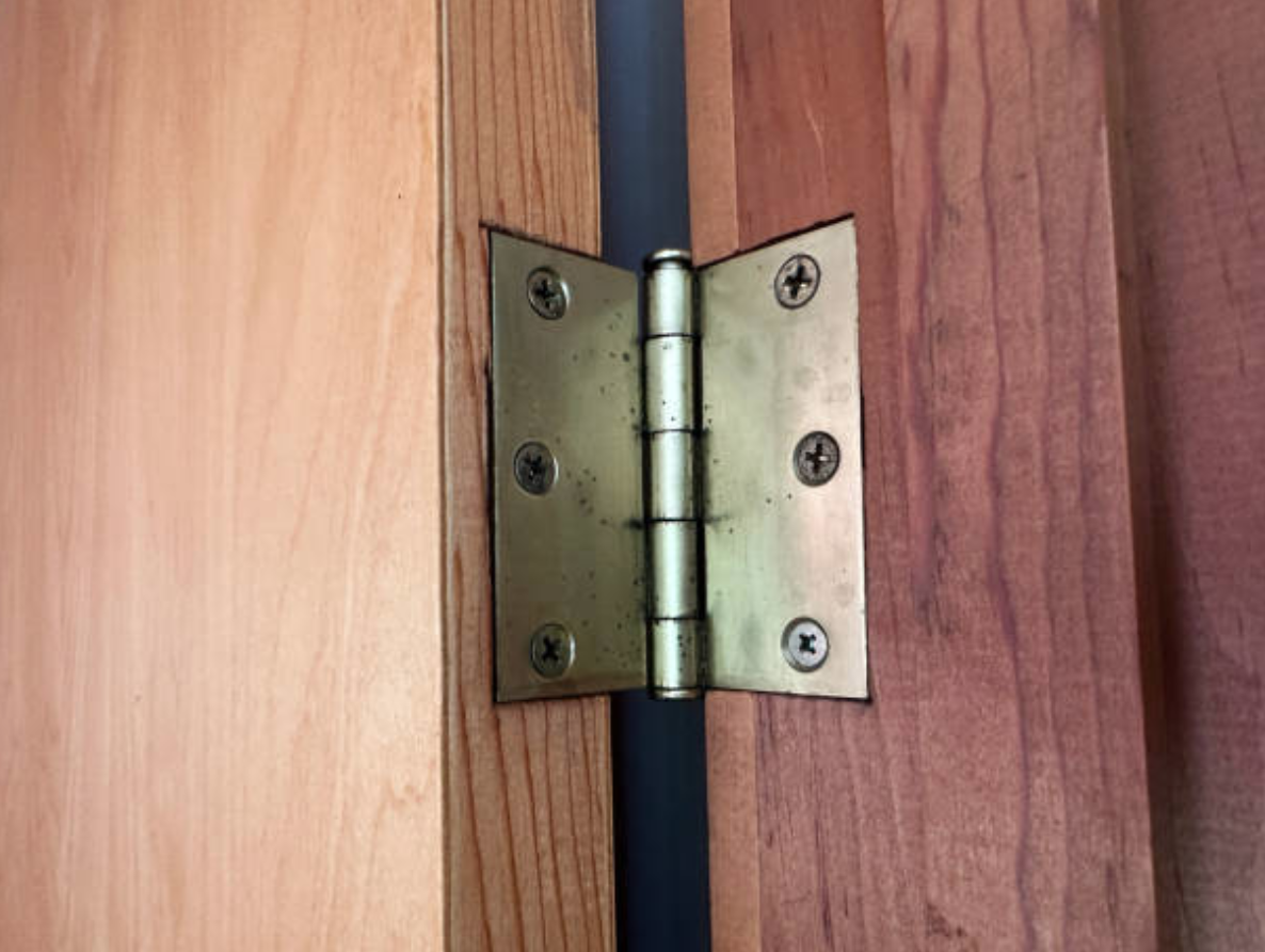 Heavy Duty Door Hinges