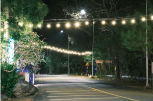 Well-lit rural road at night with overhead string lights and LED street lamps illuminating the path through trees.