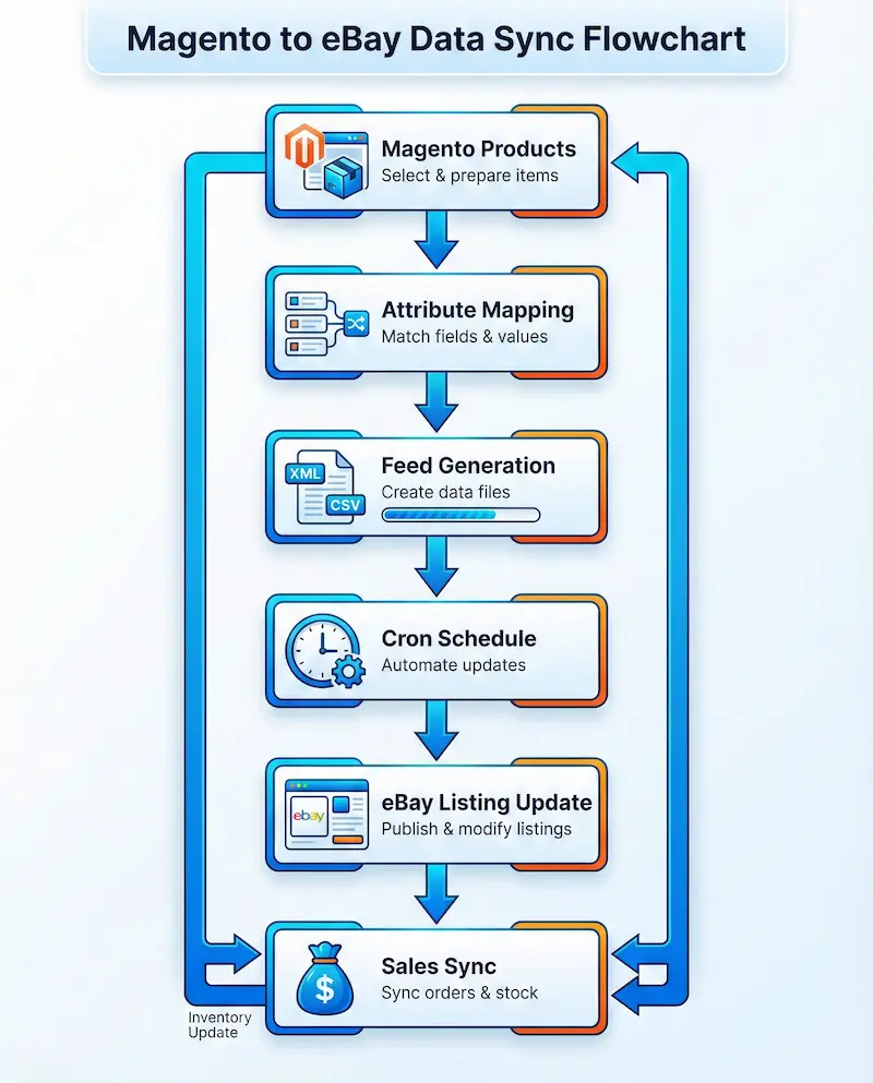 infographic 4 Magento 2 eBay Integration: Ultimate 2026 Guide to Boost Sales on the World's Largest Marketplace
