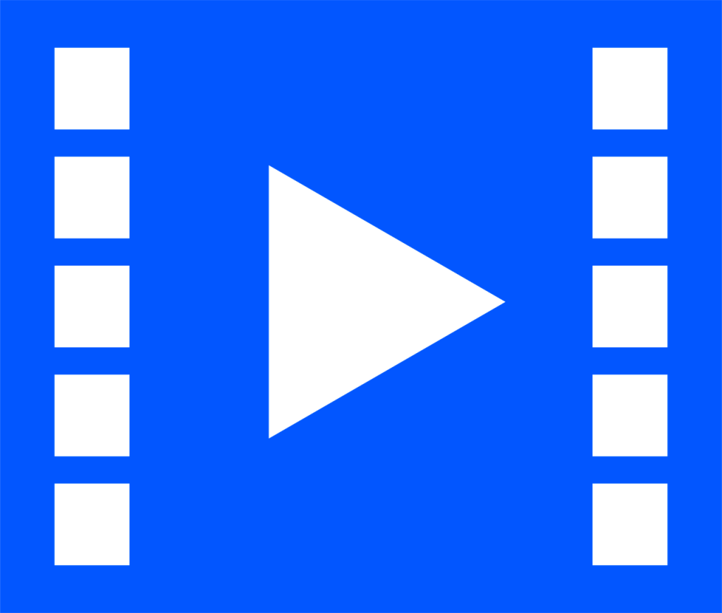 VidsSave online video downloader