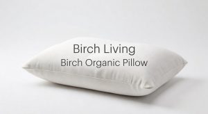 Birch Organic Pillow Review: Luxurious Organic Comfort 18 Birch Organic Pillow Review - Birch Organic Pillow Review
