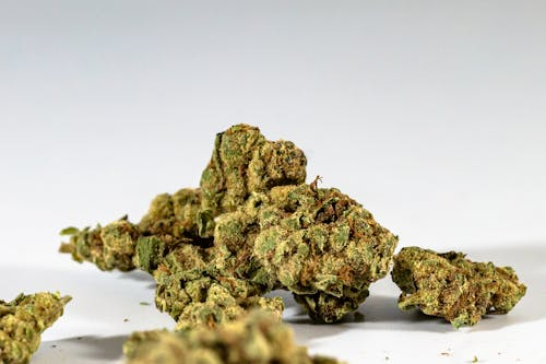 Understanding Crumble Thca Live Resin And Its Growing Popularity 3 Image 11 Understanding Crumble Thca Live Resin And Its Growing Popularity
