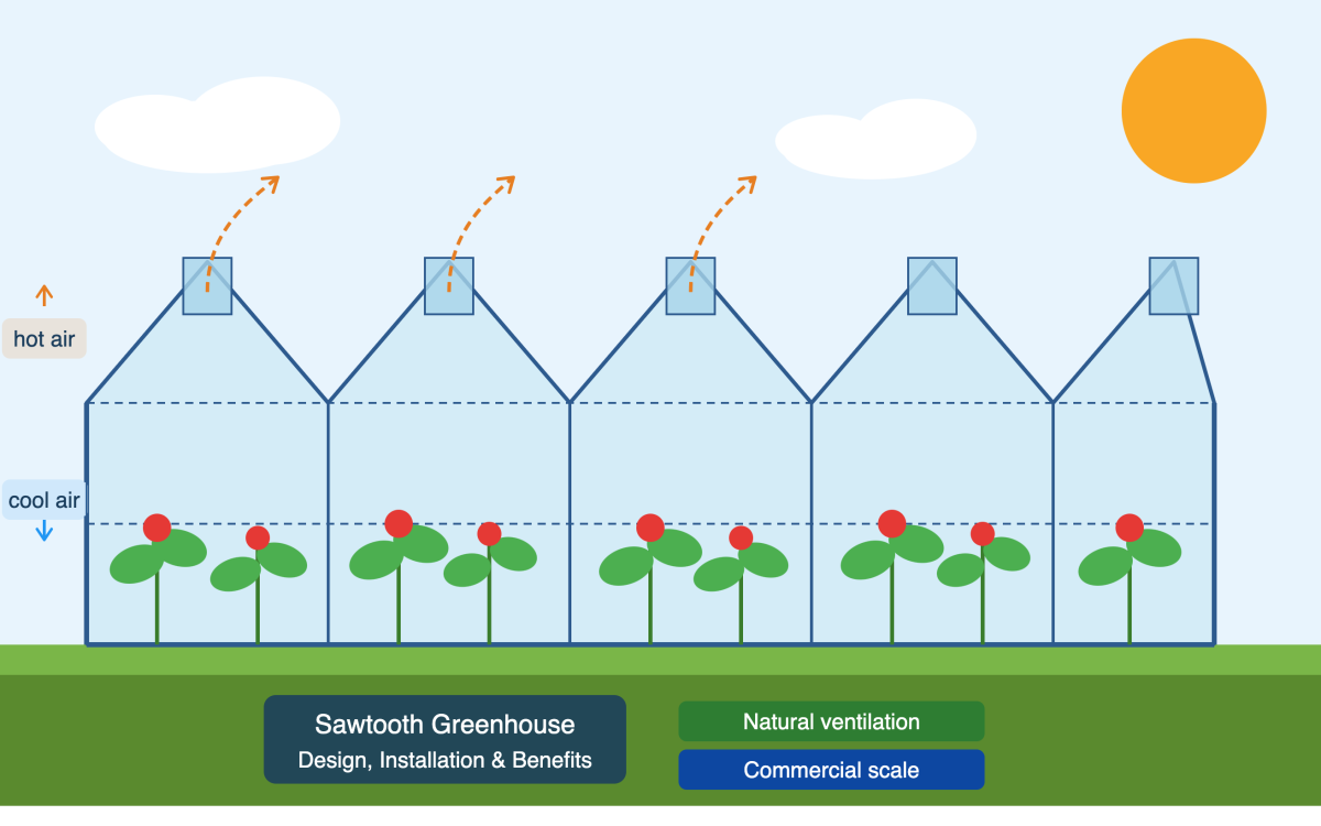 Sawtooth Greenhouse Design And Installation: What Commercial Growers Need To Know 1 Sawtooth Greenhouse Structure With Natural Ventilation Airflow And Commercial Tomato Crops Growing Inside Multi-Span Steel Frame