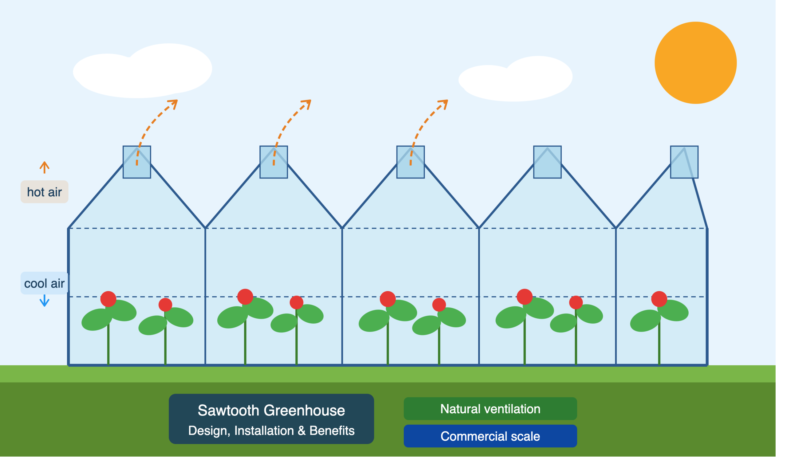 Sawtooth Greenhouse Design And Installation: What Commercial Growers Need To Know 1 Sawtooth Greenhouse Structure With Natural Ventilation Airflow And Commercial Tomato Crops Growing Inside Multi-Span Steel Frame