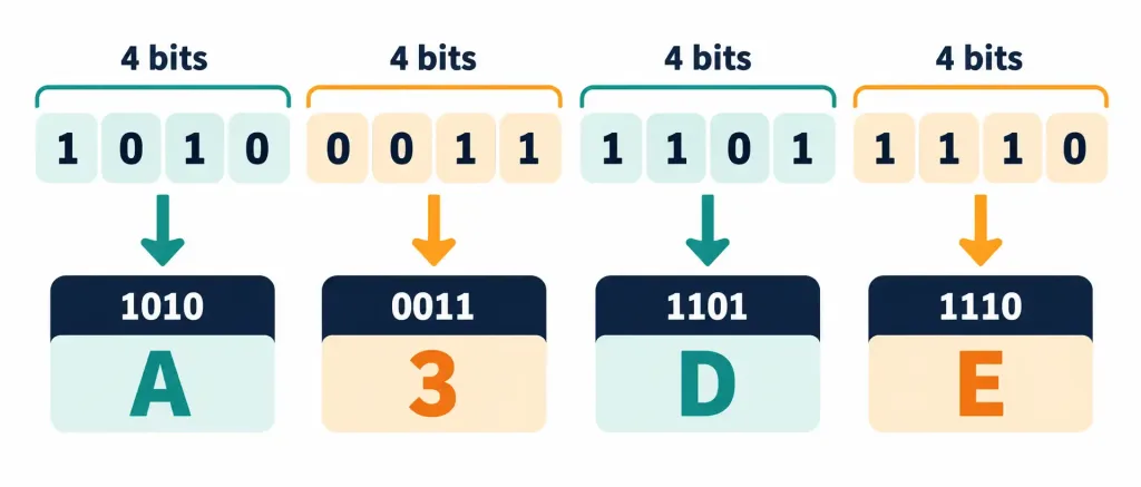 Lesson 1.1 — Notational Systems 3 Diagram Showing The Same Numeric Value Written Out Side By Side In Decimal, Binary, Hexadecimal, And Octal