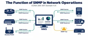 Explain the Function of SNMP in Network Operations