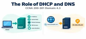 Explain the Role of DHCP and DNS Within the Network