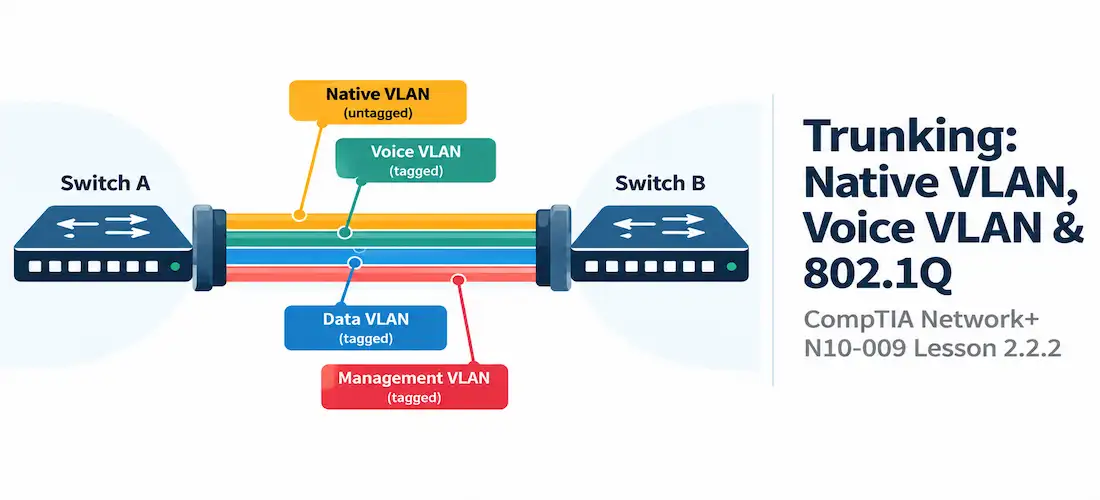 Lesson 2.2.2 — Trunking: Native Vlan, Voice Vlan &Amp; 802.1Q Tagging 1 Illustration Of A Woven Multi-Colored Ribbon Stretching Between Two Switches, Representing Multiple Vlans On One Link