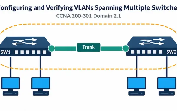 Illustration Of Two Switches Connected By A Trunk Link With A Shared Vlan Boundary Spanning Both, Representing Vlan Configuration Across Multiple Switches