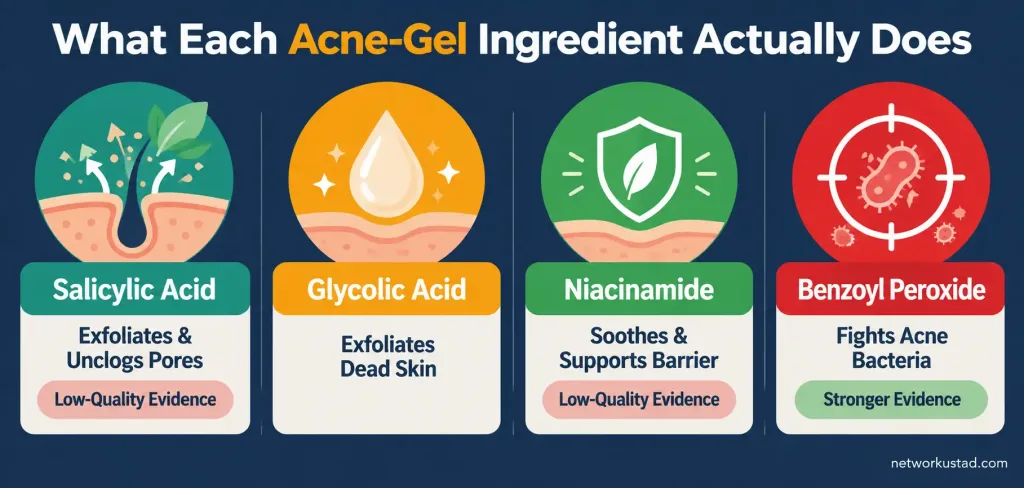 6 Real Benefits Of Acne Clearing Gels — And What The Evidence Actually Shows 2 Infographic Comparing Salicylic Acid, Glycolic Acid, Niacinamide, And Benzoyl Peroxide